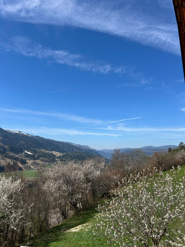 Appartamento Vacanze / Flat / Wohnung zu vermieten a Tesero - Signora Paola - Via Arlazza 21 - Tel: 3487797595